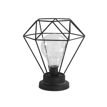Load image into Gallery viewer, Edison Style Metal Terrarium Lamp